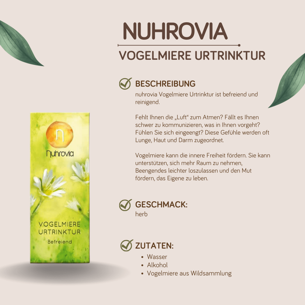Bild von Vogelmiere Urtrinktur 20ml